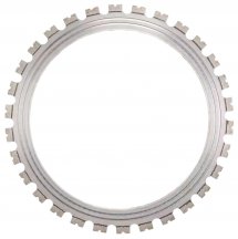 Discuri inel (Ring disc)